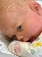 Colby Silicone Reborn CUDDLE BABY by Ping Lau Ready to Go Frogs  18"