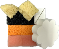 Multi-Pack Mottle & Texture Sponges Set of 6 Unique Sponge Types