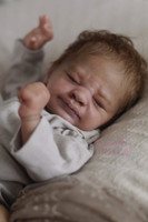 Zahli Preemie Reborn Vinyl Doll Kit by Laura Tuzio Ross 17" Limited Edition