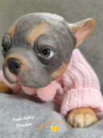 Freida the French Bull Dog Puppy Reborn Vinyl Doll Kit by Simon Laurens 16"