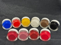 IRHSP E-Borns Tutorial Set - Includes 10 Colors and 5 Mediums