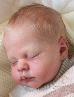 Maxan Reborn Vinyl Doll Kit by Doris Moyers Hornbogen   20" Limited Edition