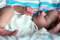 Lovely Reborn Vinyl Doll Kit by Cassie Ann Love Limited Edition 18"
