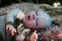 EKK Bronwynn Reborn Vinyl Vampling Doll Kit by Jamie Lynn Powers 19"