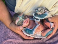 EKK Lei Luna Hybrid Human and Ancient Sea Turtle Reborn Vinyl Doll Kit by Cindy Musgrove 16"