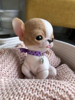 EKK Pickles Sitting the Chihuahua Reborn Vinyl Doll Kit by Cindy Musgrove 6-8"