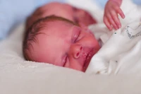 EKK Elias Reborn Vinyl Doll Kit by Valerie Kruger 15-16" Enchanted Kradle Kits