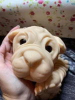 EKK Huckleberry the Shar-Pei Pup Reborn Vinyl Doll Kit by Jodie Lombardo 22"