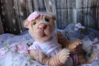 EKK Huckleberry the Shar-Pei Pup Reborn Vinyl Doll Kit by Jodie Lombardo 22"