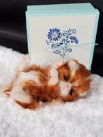 EKK Periwinkle the Kitten Laying Reborn Vinyl Doll Kit by Cindy Musgrove 8"