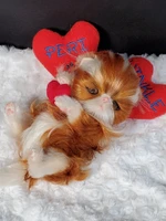 EKK Periwinkle the Kitten Laying Reborn Vinyl Doll Kit by Cindy Musgrove 8"