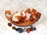 EKK Periwinkle the Kitten Laying Reborn Vinyl Doll Kit by Cindy Musgrove 8"