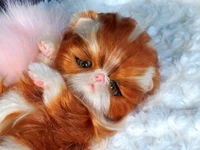 EKK Periwinkle the Kitten Laying Reborn Vinyl Doll Kit by Cindy Musgrove 8"
