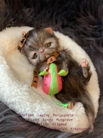 EKK Periwinkle the Kitten Laying Reborn Vinyl Doll Kit by Cindy Musgrove 8"