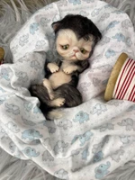 EKK Periwinkle the Kitten Laying Reborn Vinyl Doll Kit by Cindy Musgrove 8"