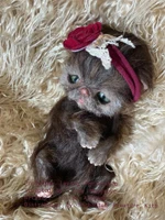 EKK Periwinkle the Kitten Laying Reborn Vinyl Doll Kit by Cindy Musgrove 8"