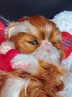 EKK Periwinkle the Kitten Sitting Reborn Vinyl Doll Kit by Cindy Musgrove 6"