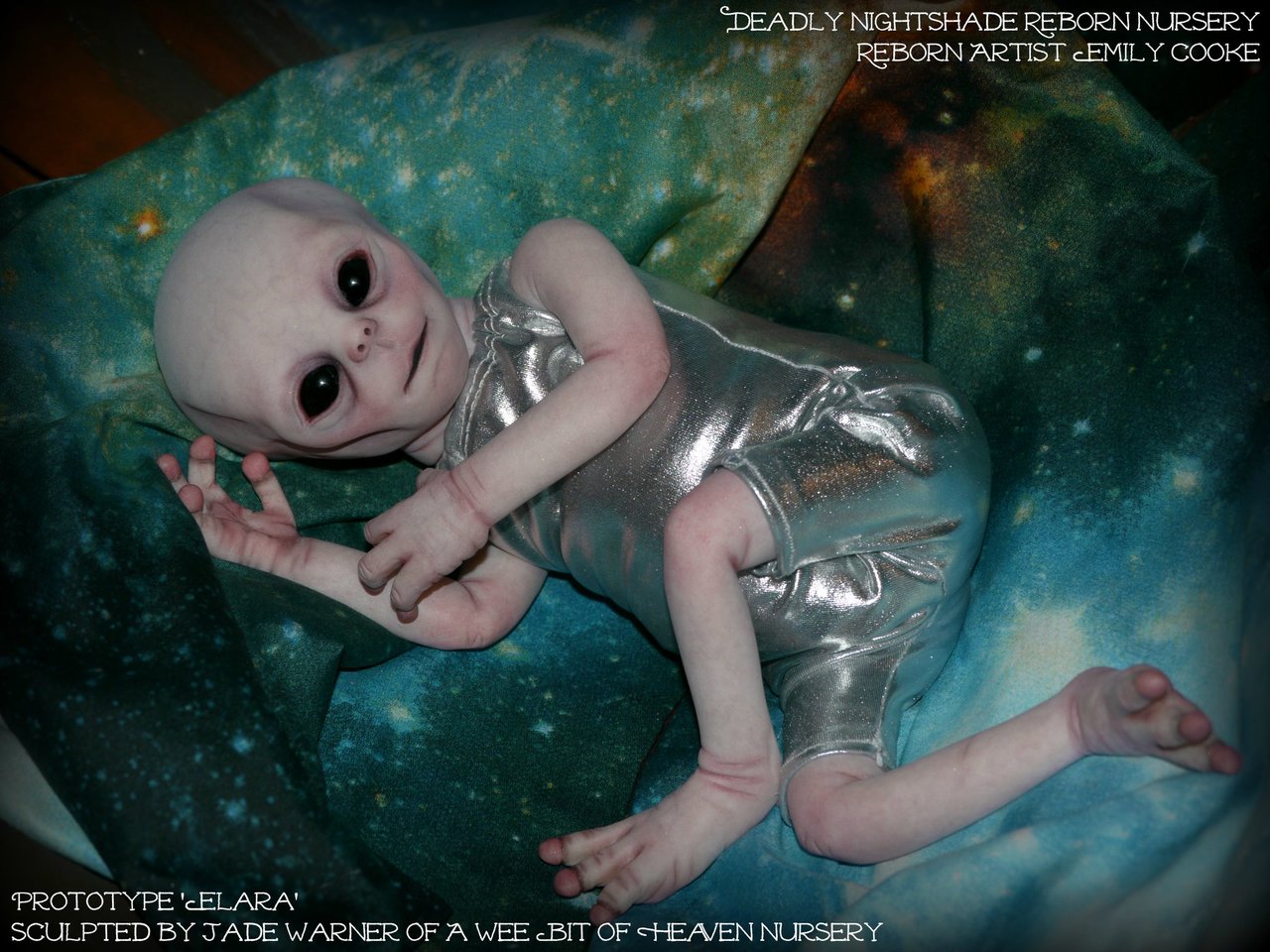 ***ORIGINAL*** unpainted reborn doll kit Elara by Jade Warner 