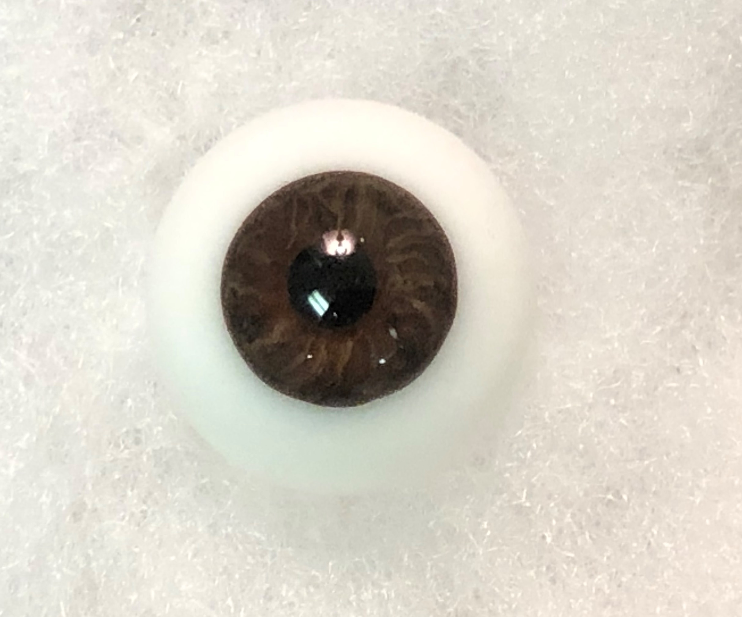 German Glass Eyes: Full Round Mouth Blown Russet Brown 45