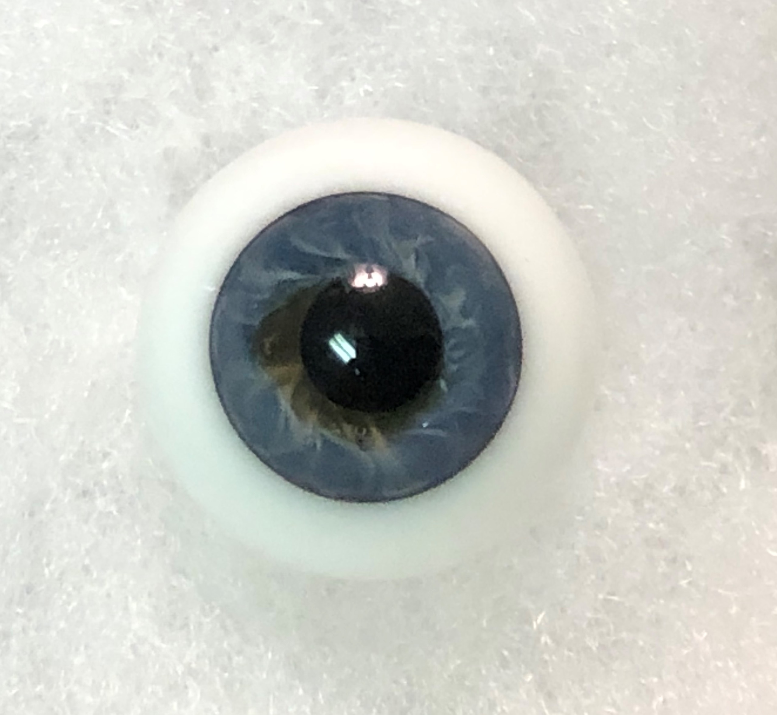 German Glass Eyes: Solid Half Round Flat Back Dark Blue #32431