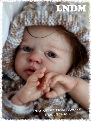Noah Awake by Reva Schick - Reborn Doll Kit