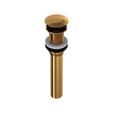 Non-Slotted Touch Seal Dome Drain with 6 Inch Tailpiece - English Gold | Model Number: 5445EG - Product Knockout