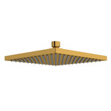 8" Rain Showerhead - Brushed Gold | Model Number: 488BG-WS