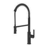 Authentica™ Pre-Rinse Pull-Down Kitchen Faucet - Black | Model Number: AU221BK