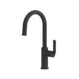 Authentica Bar/Food Prep Kitchen Faucet With C-Spout - Black | AU601BK