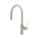 Arca™ Pull-Down Kitchen Faucet With Single Spray - Polished Nickel | Model Number: AA101PN