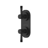 Amahle™ 1/2" Thermostatic Trim With Diverter - Matte Black | Model Number: TAM12W2LMMB