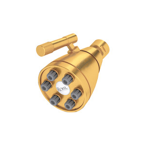 DISCONTINUED-3" Graceline 6-Jet Adjustable Showerhead - Satin Gold | Model Number: MB0190SG