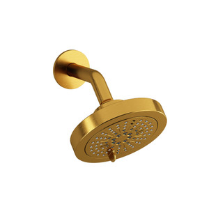 6-Function 6 Inch Showerhead With Arm  - Brushed Gold | Model Number: 366BG - Product Knockout