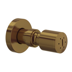 DISCONTINUED Single Function Body Spray - French Brass | Model Number: 0326BS1FB