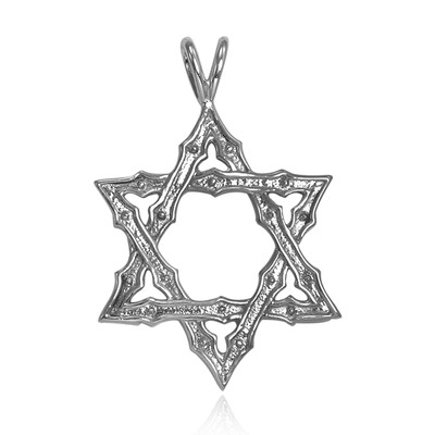 14k White Gold Jewish Star of David Pendant #P941