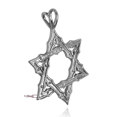 14k White Gold Jewish Star of David Pendant #P941
