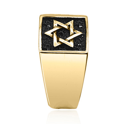 Star of David Men's Ring in 14k Gold #R2310