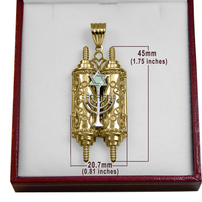 14k Gold Torah Star of David Jewish Mogen Pendant #P975