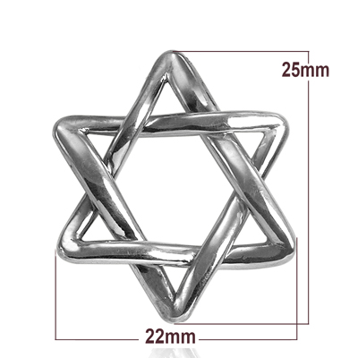 14k Gold white gold Jewish Star of David Pendant #P1005