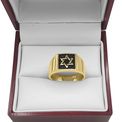 Star of David Men's Ring in 14k Gold #R2310