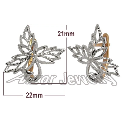 10k Two-Tone Gold Design Earrings CLENOVI LIST