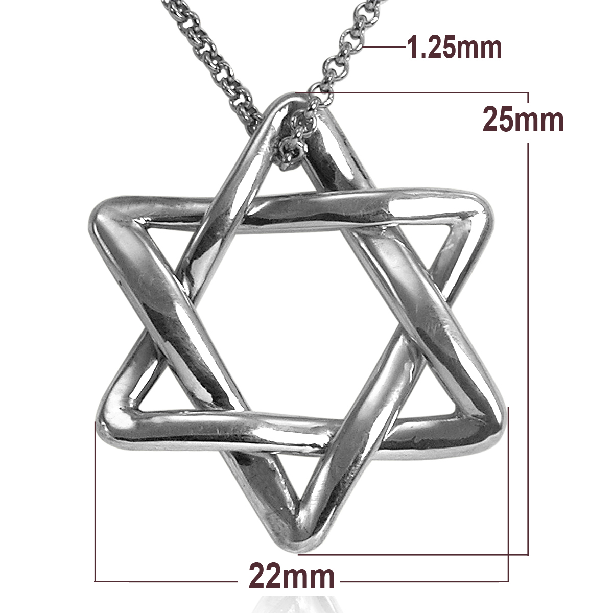 Jewish Star of David Pendant in Platinum #N413