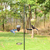 Outdoor Metal Seed Guard Deterrent Squirrel-Proof Caged Tube Wild Bird Feeder 