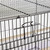 Flight Cage for Birds