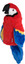 Daphne's Headcovers Golf Club Head Covers - Parrot