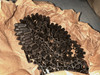 SG-43 / SGMT / PKM / Maxim 250rd Belt  - New Old Stock