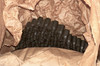SG-43 / SGMT / PKM / Maxim 250rd Belt  - New Old Stock