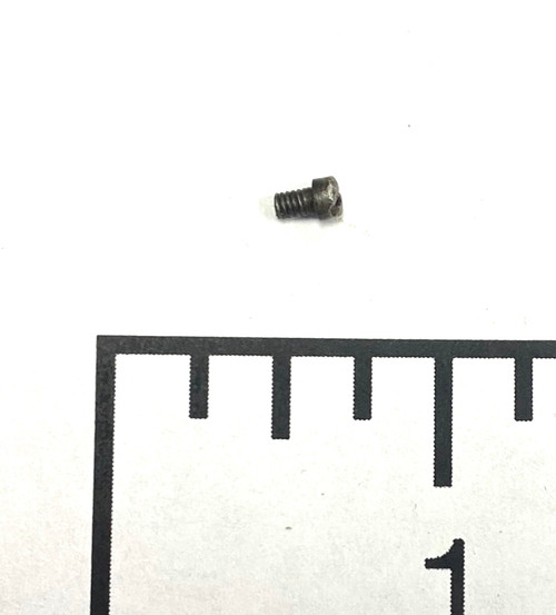 15: Screw, stop (worn)