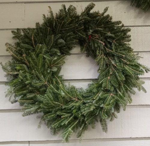 24-26" WREATH FRASER FIR UNDECORATED