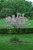 Coralburst Flowering Crab (Malus 'Coralburst' 0253.9ST) #15 STD
